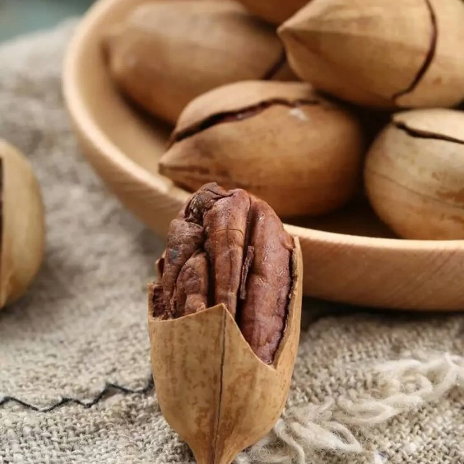 Premium Pecan Nuts with Shell