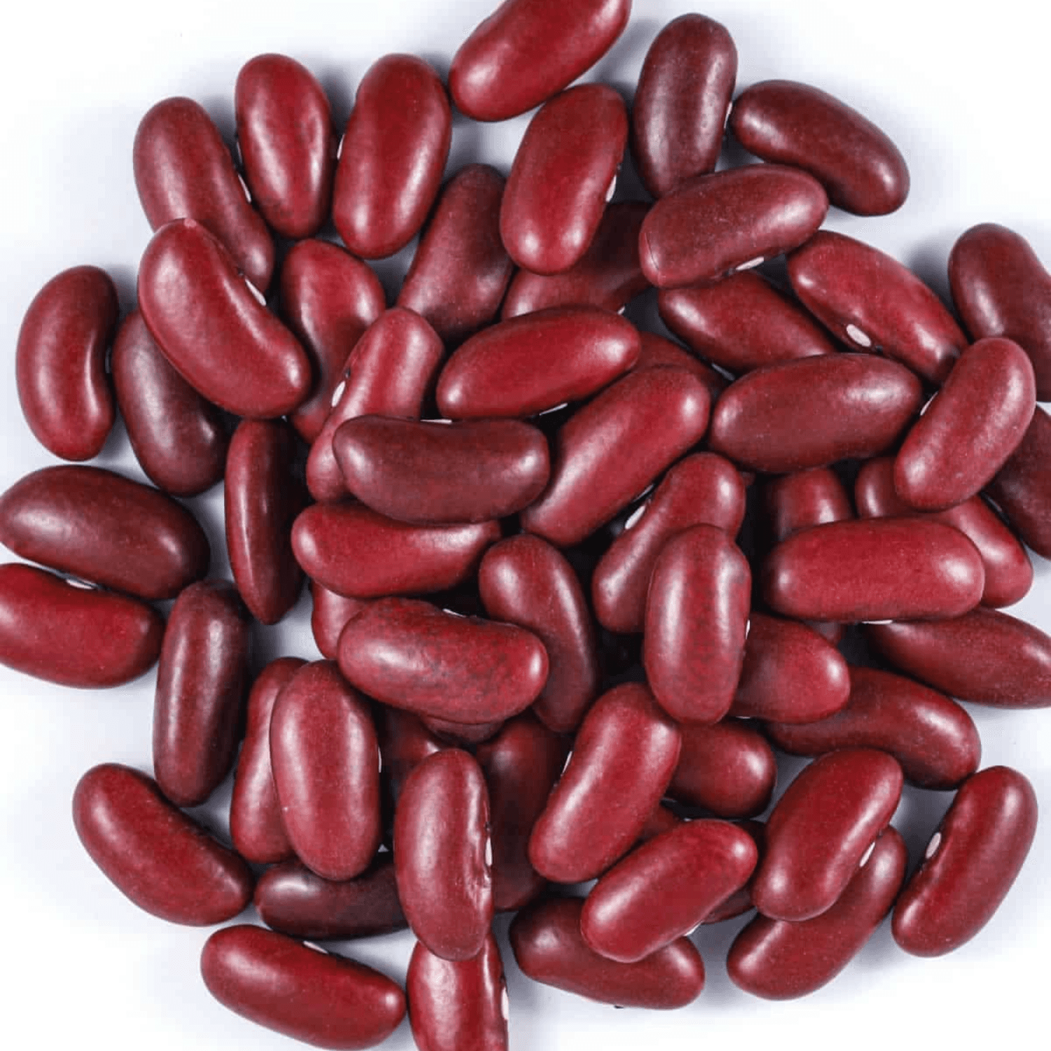 Premium Kashmiri Rajma