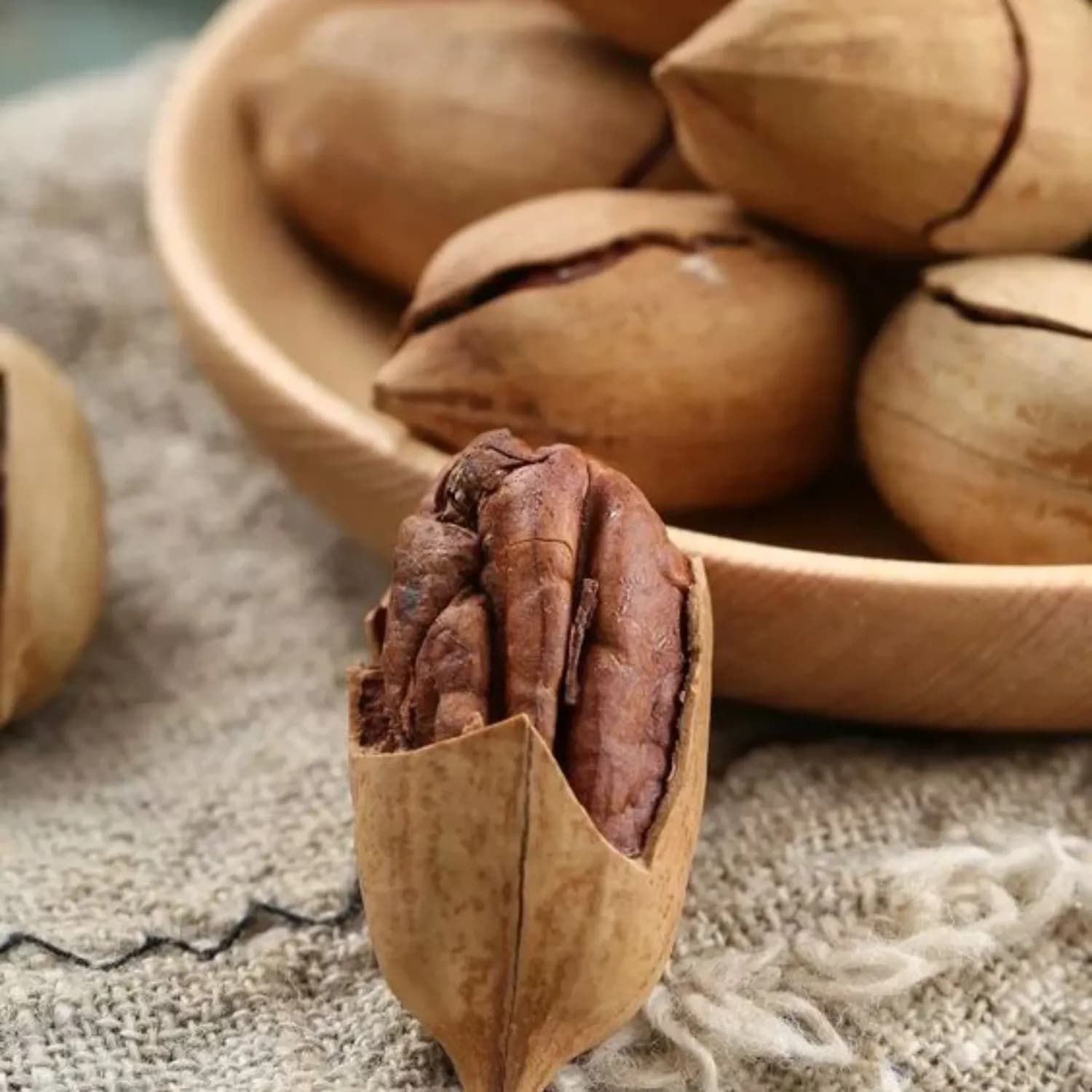 Premium Pecan Nuts with Shell