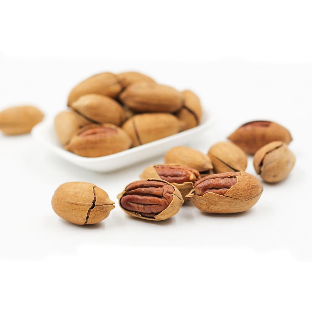 Premium Pecan Nuts with Shell gallery