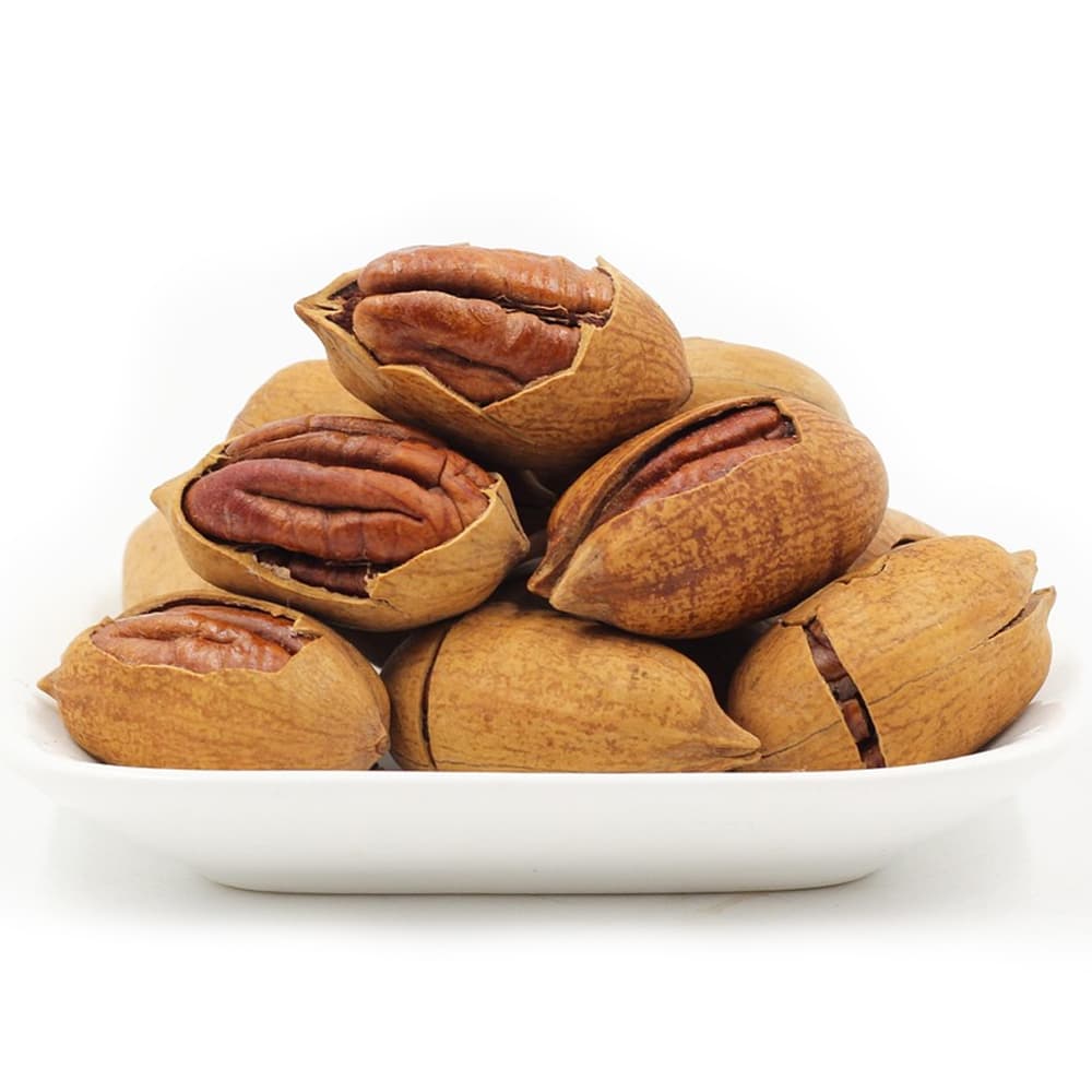Premium Pecan Nuts with Shell gallery