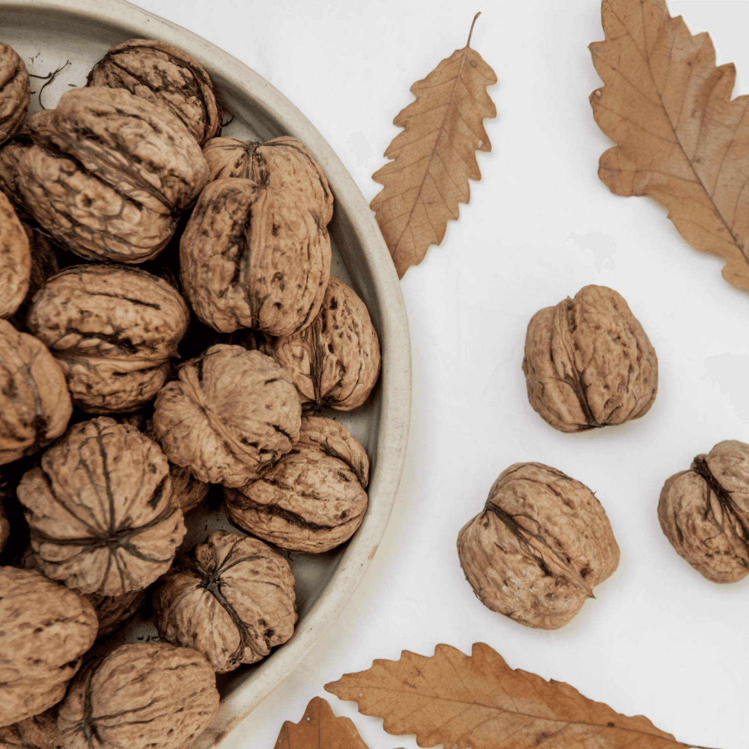 Premium Kashmiri Walnut with Shell gallery