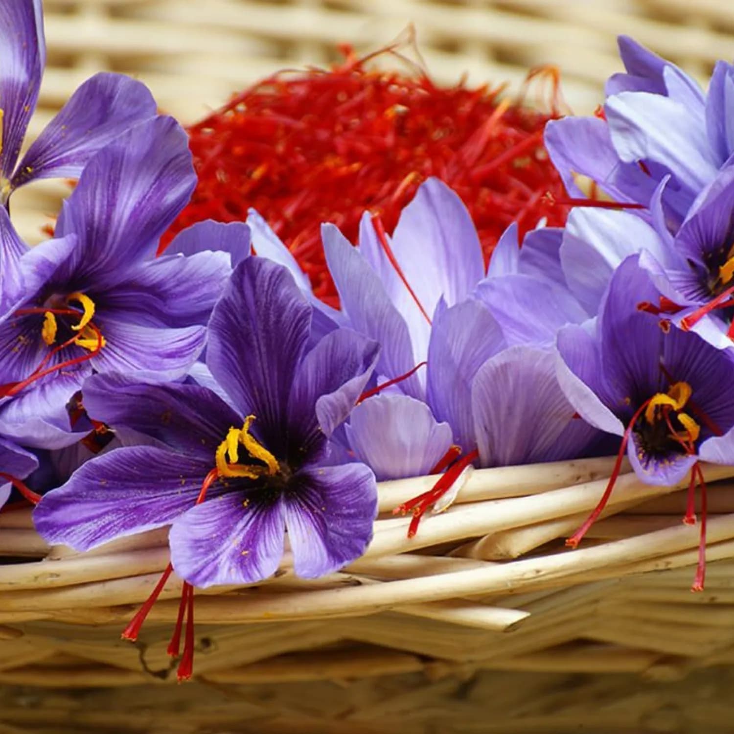 Premium Kashmiri Saffron gallery