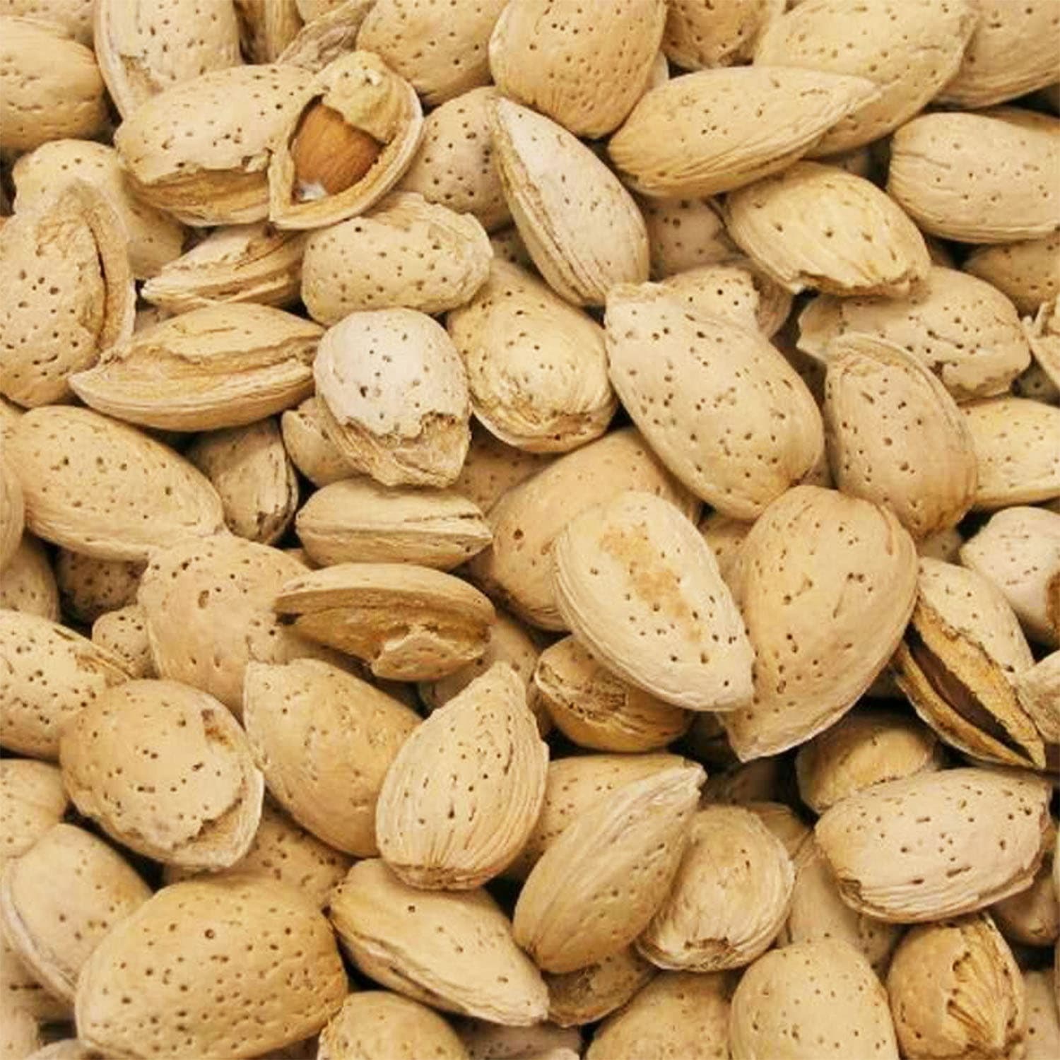 Premium Kashmiri Kagzi Almonds gallery