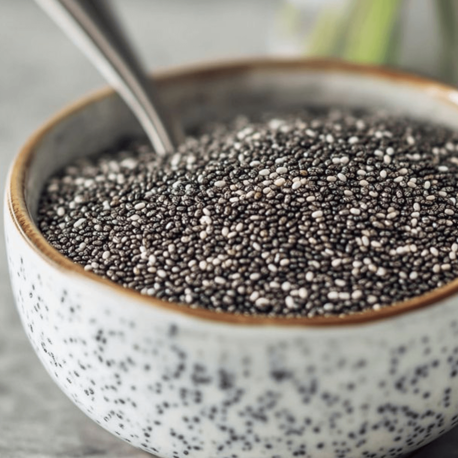 Premium Chia Seeds gallery