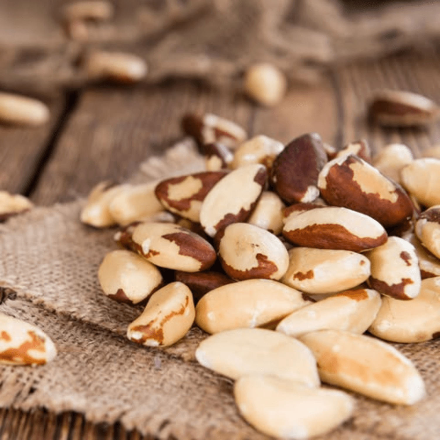 Premium Brazil Nuts, photo 2