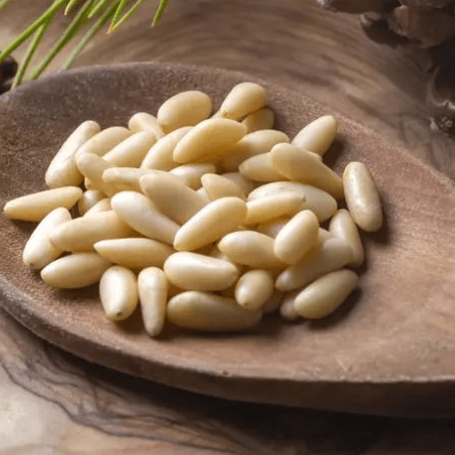 Premium Pine Nuts, photo 2
