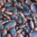 Premium Kashmiri Scarlet Runner Beans 400gm