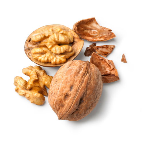 Premium Kashmiri Walnut with shell 450 g